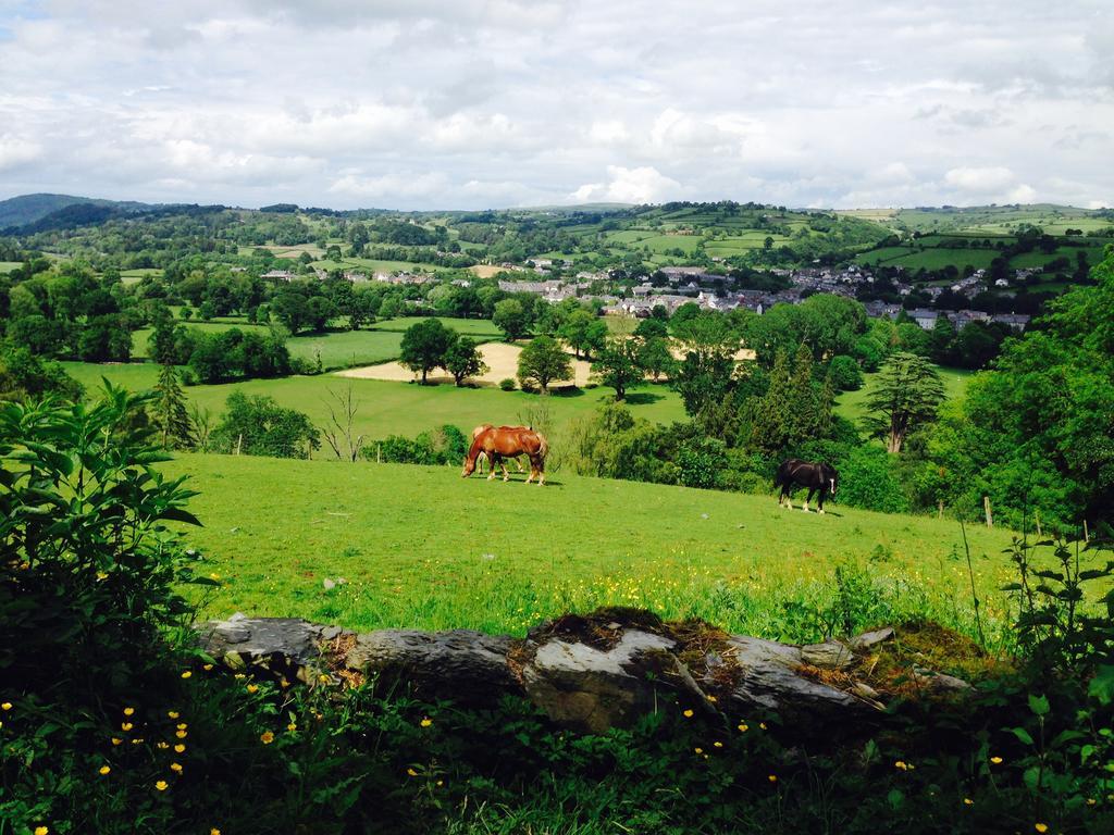 The Eagles Hotel Llanrwst Luaran gambar